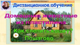 Домашние животные из пластилина.Как слепить кошку из пластилина пошагово.