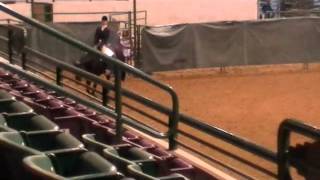 2012 District 4H Horse Show