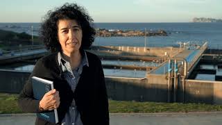 Augas de Galicia - IDOM 2019 - V4