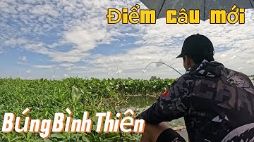 Câu đài tự nhiên ở Búng Bình Thiên mùa nước nổi, dô ổ cá dảnh dựt mỏi tay