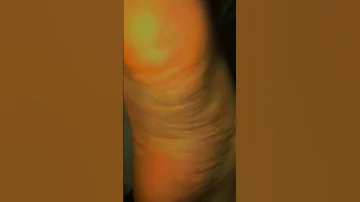 الحسو رجولي كلابي كلب كلبه عم عمه 