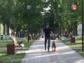 Рыбачёв и Пёс на "ТВЦ" в передаче "Like славы"
