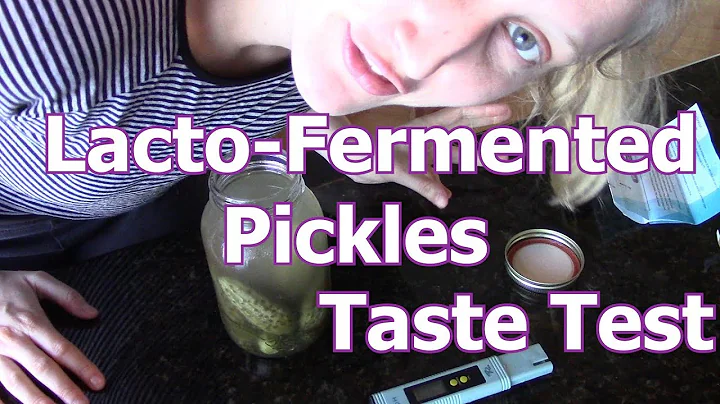 Experience the Tantalizing Tastes of Homemade Lacto-Fermented Pickles