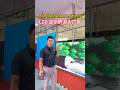 #leddisplay #leddisplayscrenfactory #ledinteractivefloortilescreen #ledtransparentscreen