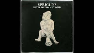 Watch Spriguns Nothing Else To Do video