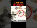 この敵とは絶対戦っては行けない理由
