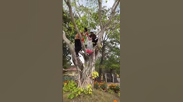 Tịnh xá Ngọc Liên chuẩn bị đón Tết Nguyên Đán Giáp Thìn 2024.