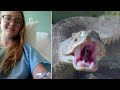 Teen Bit by Rattlesnake Keeps Her Cool and Saves Her Own Life