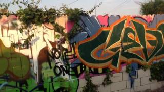 Cevek San Bernardino Graffiti