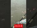 TOP videos fishing#fishing#fish#twolessfishinthesea