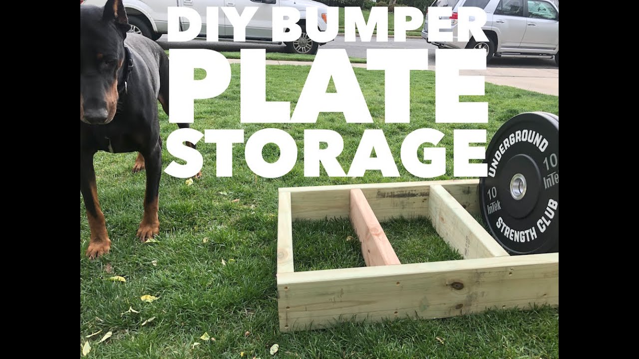 DIY Bumper Plate Storage 💪 YouTube
