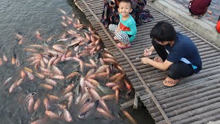 Gavin feeds the fish - Gavin cries and his feet got into the mud - DMG Kids Family Fun Walk