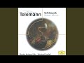 Miniature de la vidéo de la chanson Concerto For Recorder And Flute In E Minor, Twv 52:E1: Ii. Allegro