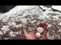 Hail Storm McKinney March 26 2019