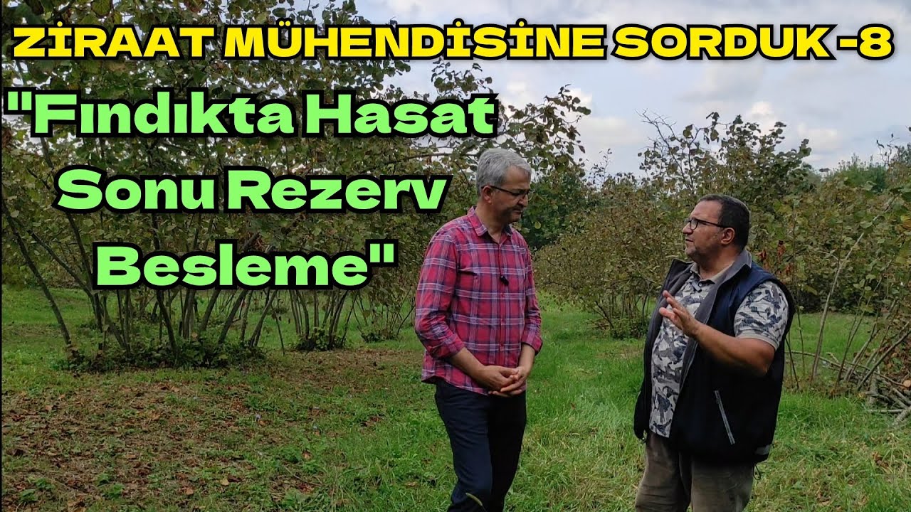 ZİRAAT MÜHENDİSİNE SORDUK; Fındık Hasat Sonu REZERV BESLEME Nasıl Yapılır ? #İbrahimHakanGün