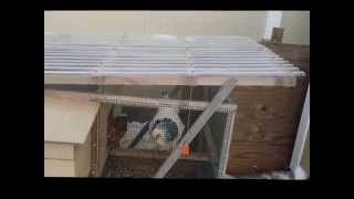 chicken coop watering system winter