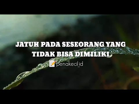 Video: Ungkapan Apa Yang Tidak Bisa Dikatakan Kepada Pria Terkasih