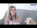 Благотворительный Фонд &quot;Твори добро&quot; (Волгоград) спасает бездомных собак