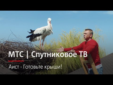 МТС | Спутниковое ТВ | Аист - Готовьте крыши!