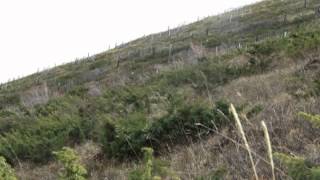 Aferdita Demaku Babe E Nane .... Remix El Lux