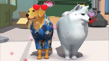 Dog Life Simulator #6 - NOOB vs PRO vs HACKER – Hit games