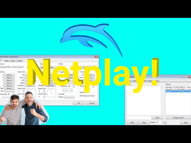 Dolphin Netplay Help