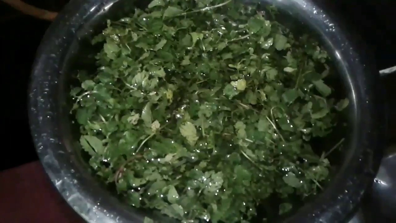 How To Store Mint Leaves Up To 1 Year dried Mintleaves how To Keep how-to-store-mint-leaves-up-to-1-year-dried-mintleaves-how-to-keep