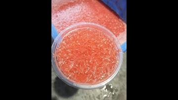 How to separate grapefruit pulp cells?