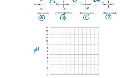 B Titration of phosphoric acid 200804