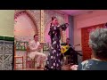 Noche de Flamenco en la Peña el Quejio: Celebrando la primavera con pasión y arte
