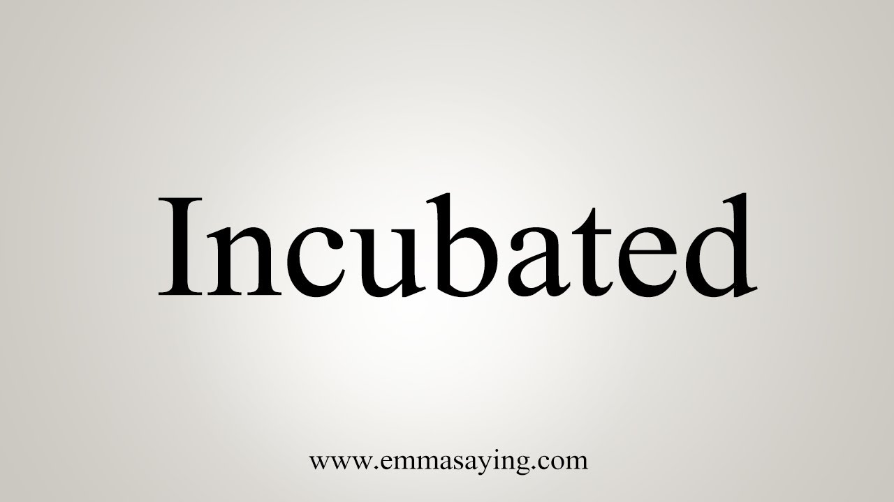 How To Say Incubated YouTube How To Say Incubated YouTube