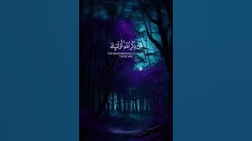 سورة الزمر #اكسبلور #الشيخ #تلاوة_هادئة #قارى