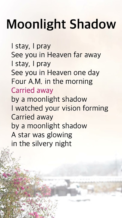 Moonlight Shadow [3] | Dana Winner