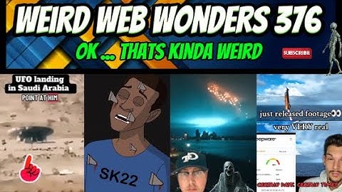 weird web wonders 376