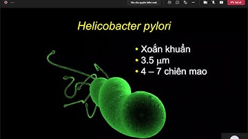 Viêm Loét Dạ Dày tá Tràng  - Thầy Đức