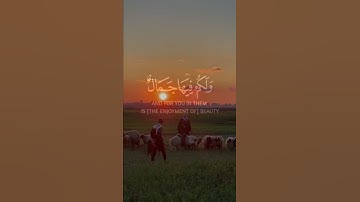 🌿 تدبّر عظمة الخالق – تلاوة مؤثرة من سورة النحل بصوت سعود الشريم