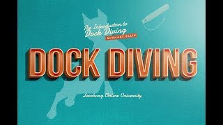 Introduction to Dock Diving with Michael Ellis I Online Course