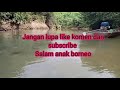 liat jerat dapat anak rusa di hutan Kalimantan