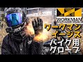 【ワークマン】防寒冬用グローブ！イージス！workmanから登場。コスパ最強のグローブ。さすがワークマン。