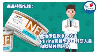 Pets Central - 小心謹「腎」！ PURINA NF貓用處方罐頭 - 腎臟健康加強護理 by Pets Central 66 views 2 years ago 26 seconds