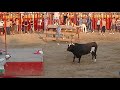 TORO RATON EN MOVERA (ZARAGOZA) (Parte 1)