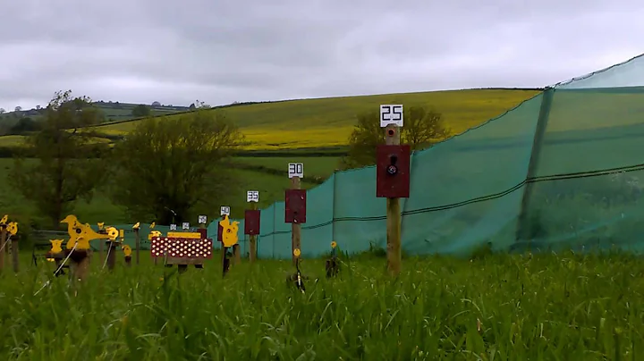 Firebird reactive targets in a tin x 2