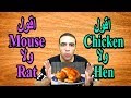 الفرق بين hen و chicken و الفرق بين rat و mouse