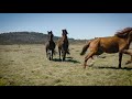 Slow mo horses