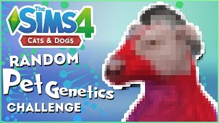 A Zesty Dash of Zebra Genes?!  Random Pet Genetics Challenge!!  Experiment #26