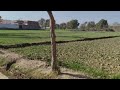 Winter season in village pakistan vlog by zahi daily vlogs