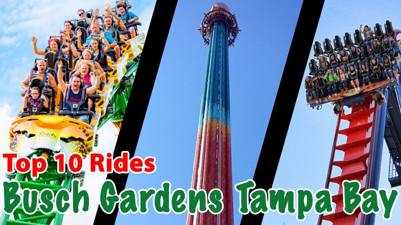 Best Thrill Rides & Roller Coasters at Busch Gardens - Virginia