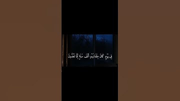 سورة السجدة| 4 - 6 |القارئ :شریف_مصطفى #quran #المصحف #fyp