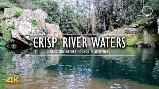 Crisp River Waters - Soothing Water Ambient Sounds | 4K Relaxing Nature | OmniHour