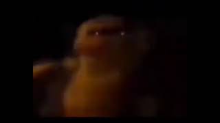 Freddy backshots